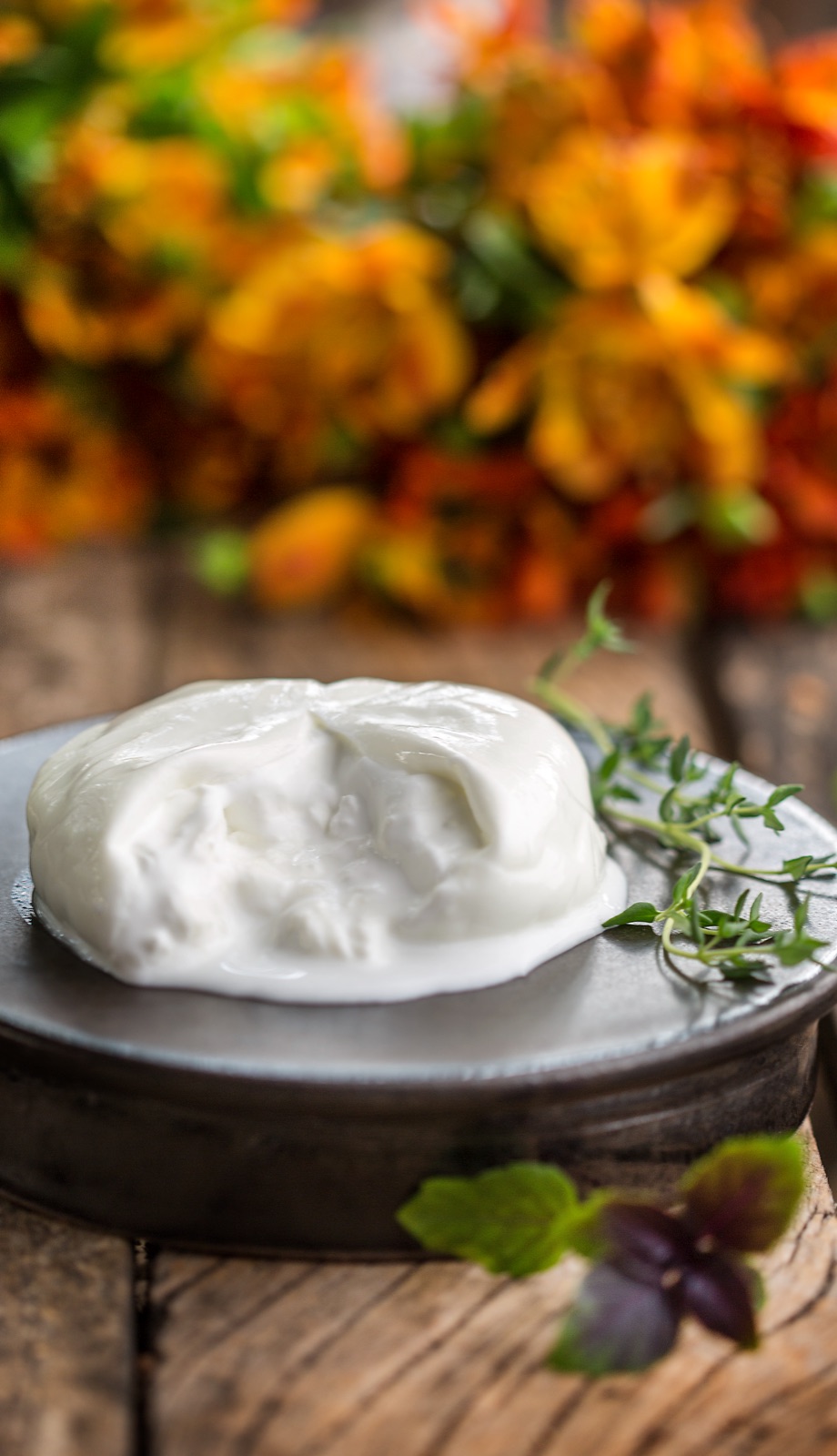 Buffalo burrata on a plate
