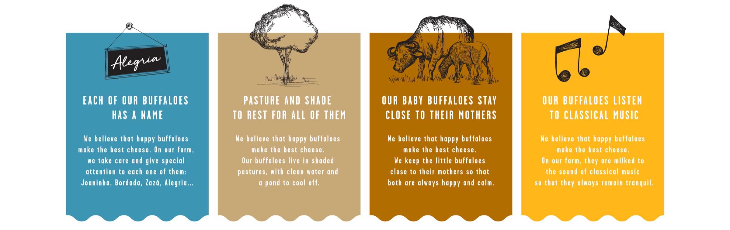 The four package messages: each of our buffaloes has a name; pasture and shade to rest for all of them; our baby buffaloes stay close to their mothers; our buffaloes listen to classical music